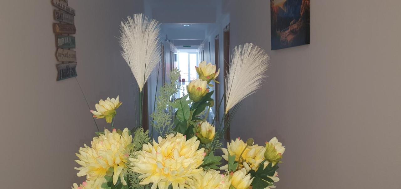 Hotel Ema Vama Veche Esterno foto